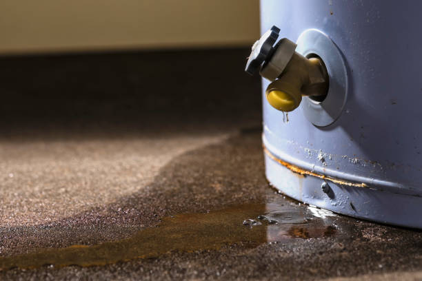 Best Flood damage cleanup  in Dawson, TX
