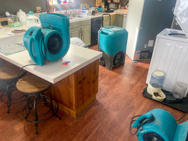 Best Water damage restoration company  in Dawson, TX