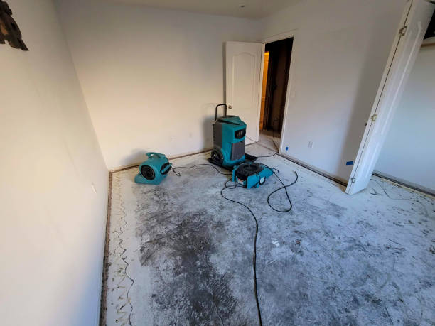 Best Professional water damage repair  in Dawson, TX