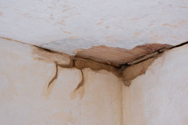 Best Flood restoration services  in Dawson, TX