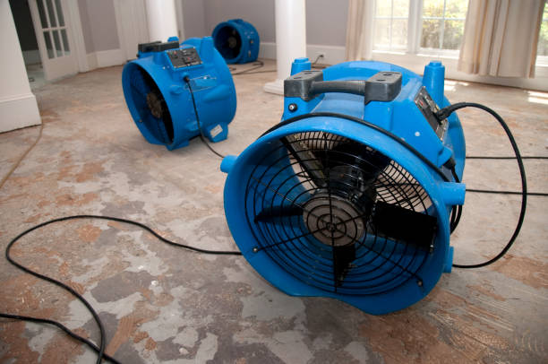 Best Basement water damage restoration  in Dawson, TX