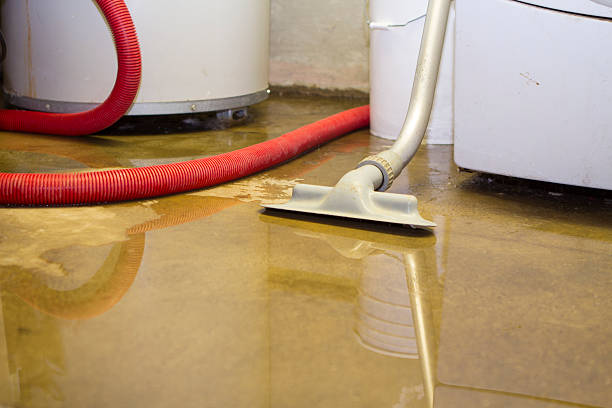 Best 24-hour water damage restoration  in Dawson, TX