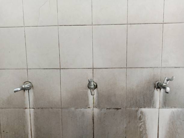 Best Mold removal after water damage  in Dawson, TX