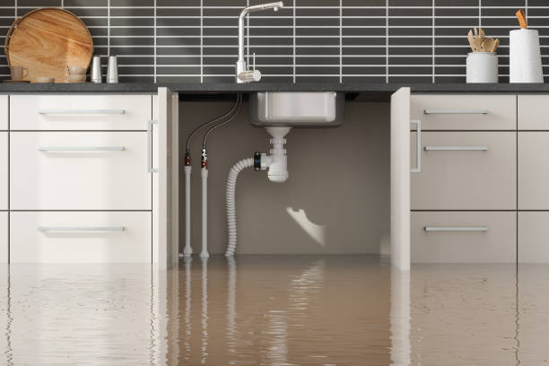Best Flooded house restoration  in Dawson, TX
