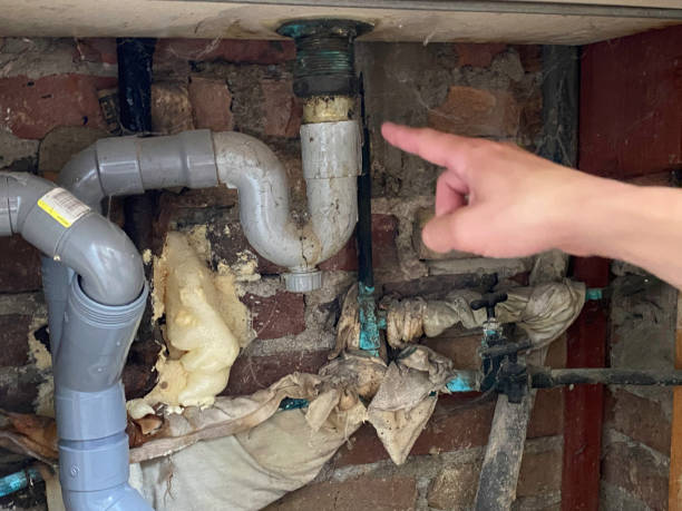 Best Water damage repair service  in Dawson, TX