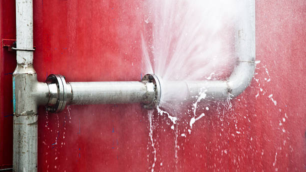 Best Local water damage restoration  in Dawson, TX